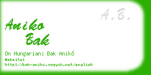 aniko bak business card